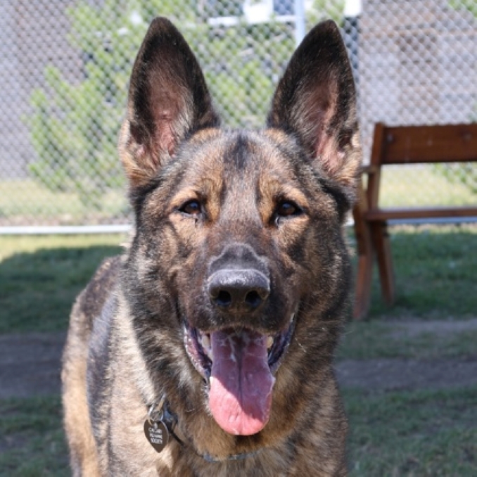 Pepper
