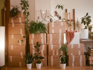 Moving boxes